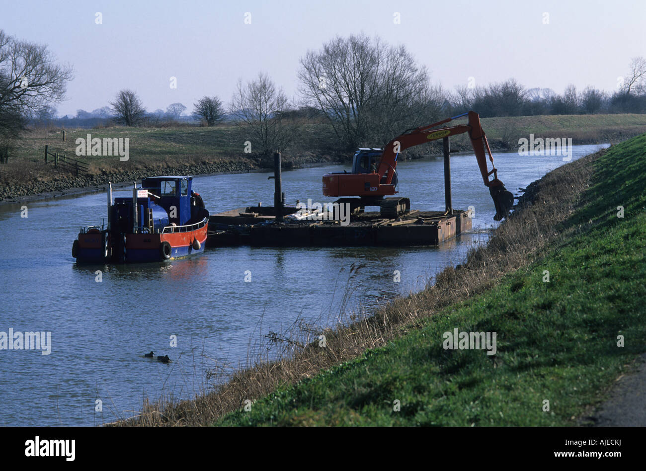 Wartung von Flußdamm, Fluss Witham, Tattershall, Lincolnshire, Vereinigtes Königreich. Stockfoto