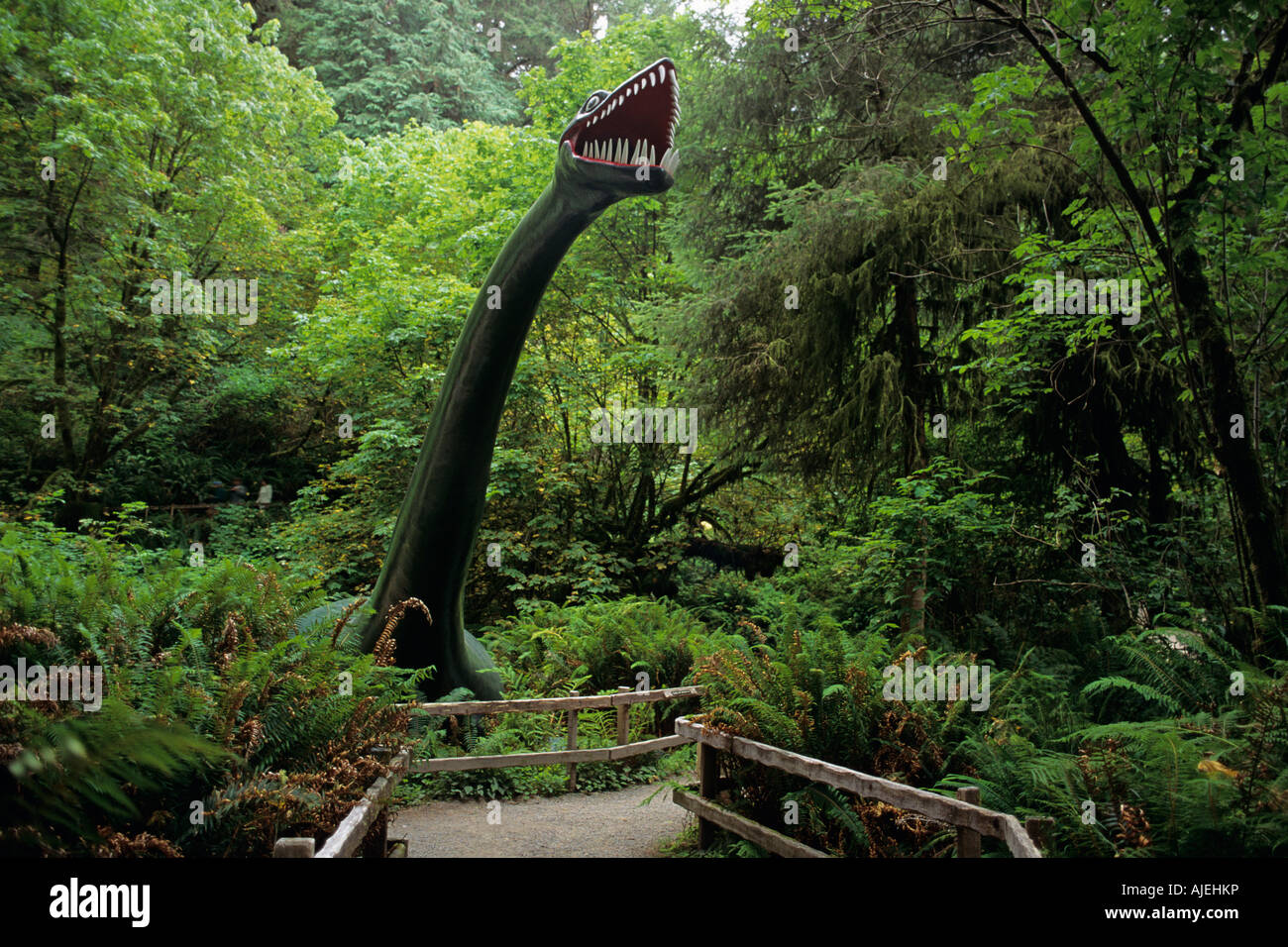 Prahistorische Garten Entlang Der Kuste Von Oregon Elasmosaurs Entlang Tour Trail Port Orford Oregon State Usa Stockfotografie Alamy