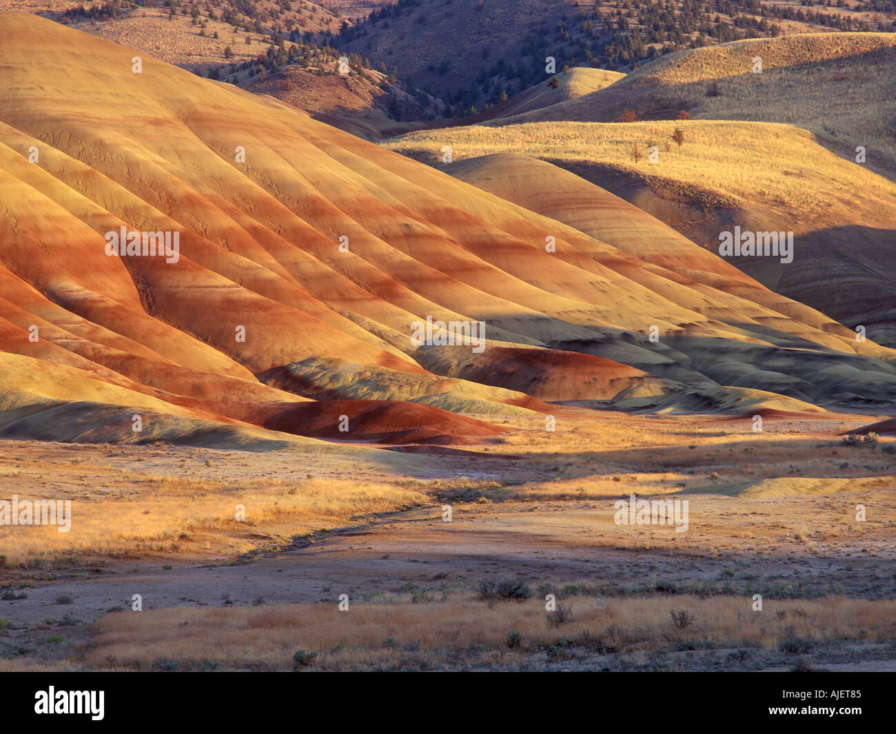 Painted Hills bei Sonnenuntergang John Day Fossil Betten Nationaldenkmal gemalt Hills Unit Oregon USA Stockfoto