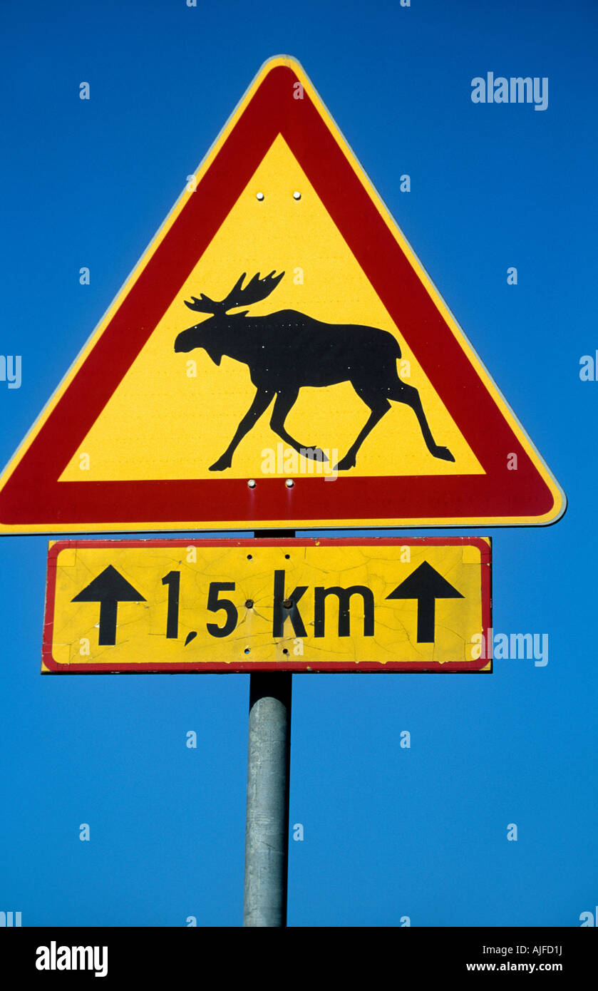 Elch auf einem Straßenschild Stockfoto