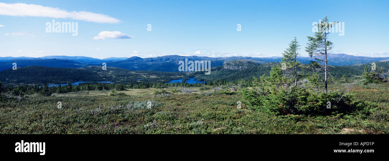 Telemark Norwegen Stockfoto