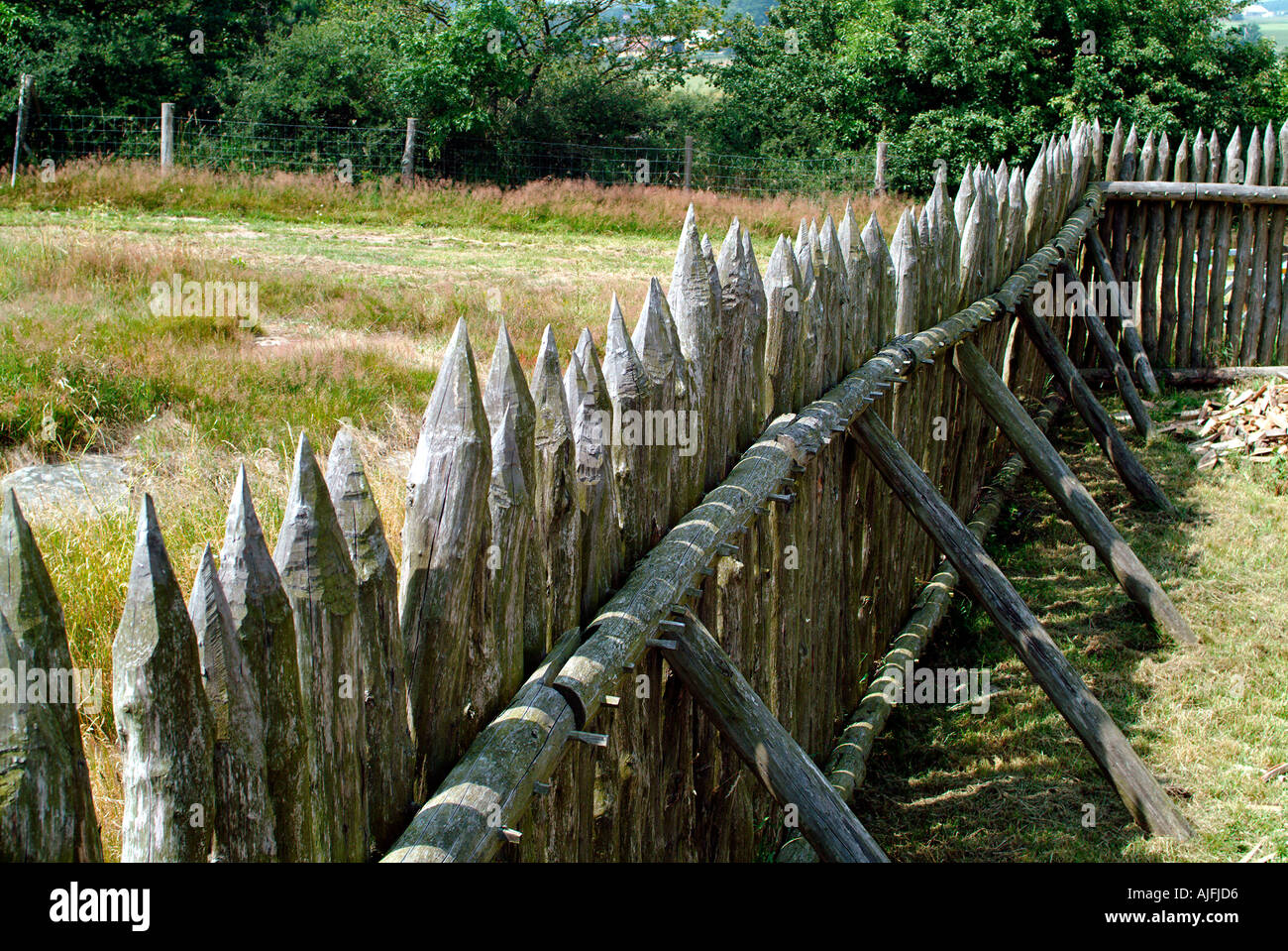 Alten Defensive hölzernen Palisade Zaun Wiederaufbau Bornholm Dänemark Stockfoto