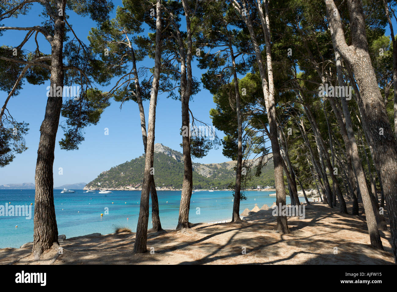 Strand, Formentor, Nordküste, Mallorca, Spanien Stockfoto