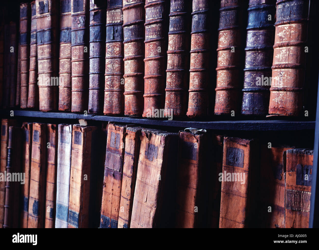 Alte mittelalterliche Leder gebundene Bücher in den Regalen der Sumpf Bibliothek Dublin Irland Verfallende Stockfoto
