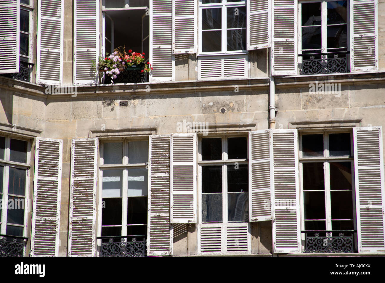 Frankreich-Ile De France Paris-Wohnung-Fenster mit Fensterläden. Ein offenes Fenster hat Box mit roten und rosa Geranien Stockfoto
