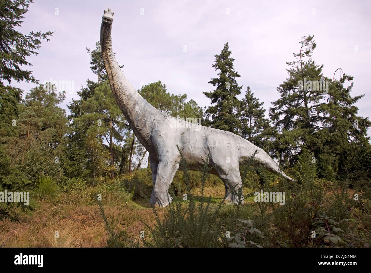 Diplodocus Leben Wiederaufbau ausgestorbenen pflanzenfressenden vierbeinigen Sauropod Dinosaurier späten Jura Frankreich Stockfoto