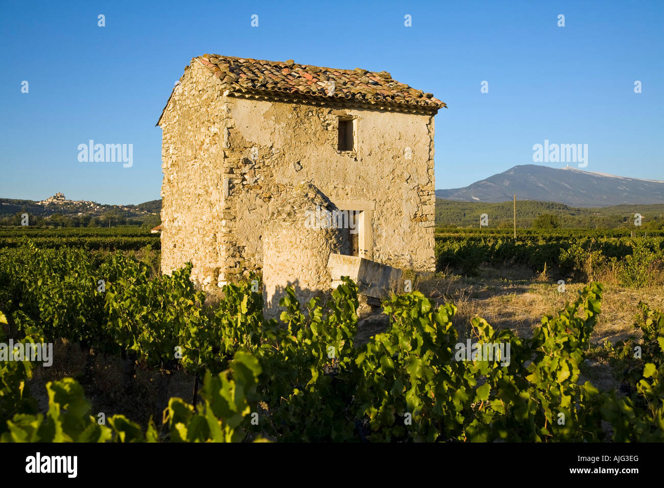 Altes Haus im Comtat Venaissin Vaucluse Provence Frankreich Stockfoto