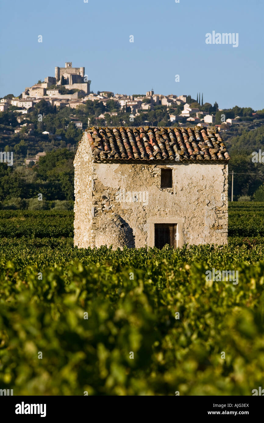 Alte Haus Weinberg in Comtat Venaissin Le Barroux Vaucluse Provance Frankreich Stockfoto