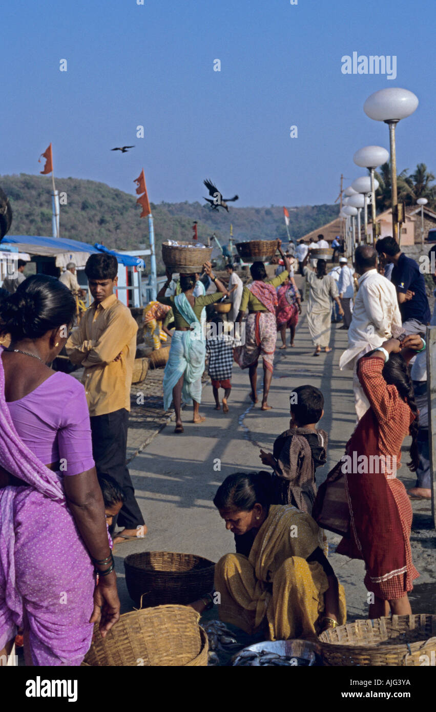 Indische Frauen, Kauf und Verkauf von neu gefangen frischen Fisch am Markt Fischauktion, Indien Stockfoto