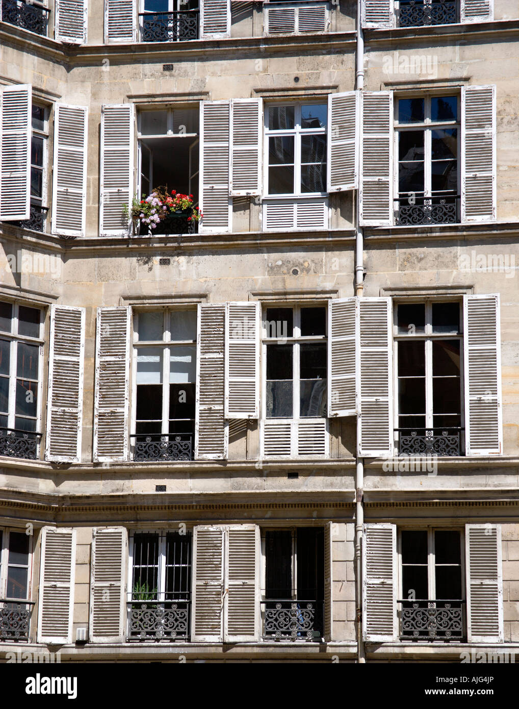 Frankreich Ferienwohnung in Ile De France Paris Fenster mit weißen Fensterläden aus Holz. Ein offenes Fenster hat Box mit roten und rosa Geranien. Stockfoto