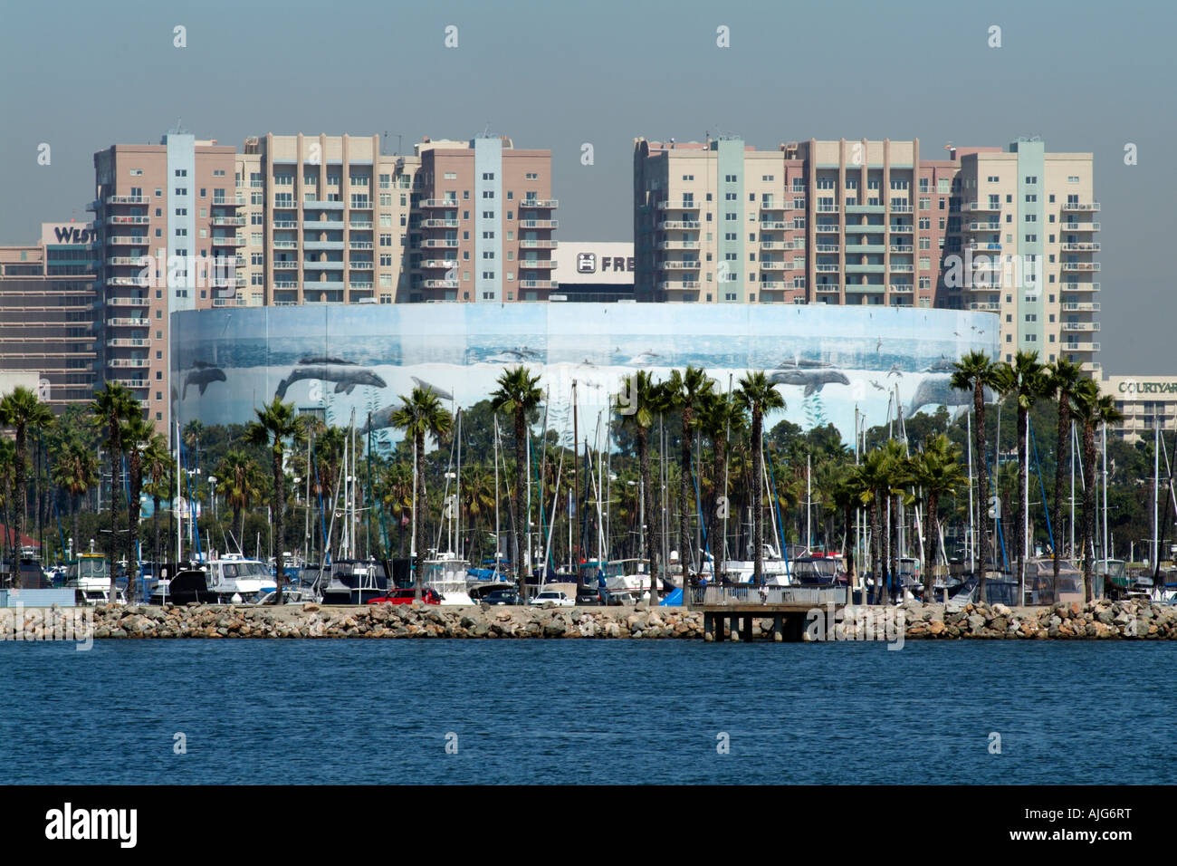 Long Beach Aquarium of the Pacific auf der Küstenlinie in Long Beach Kalifornien USA Stockfoto
