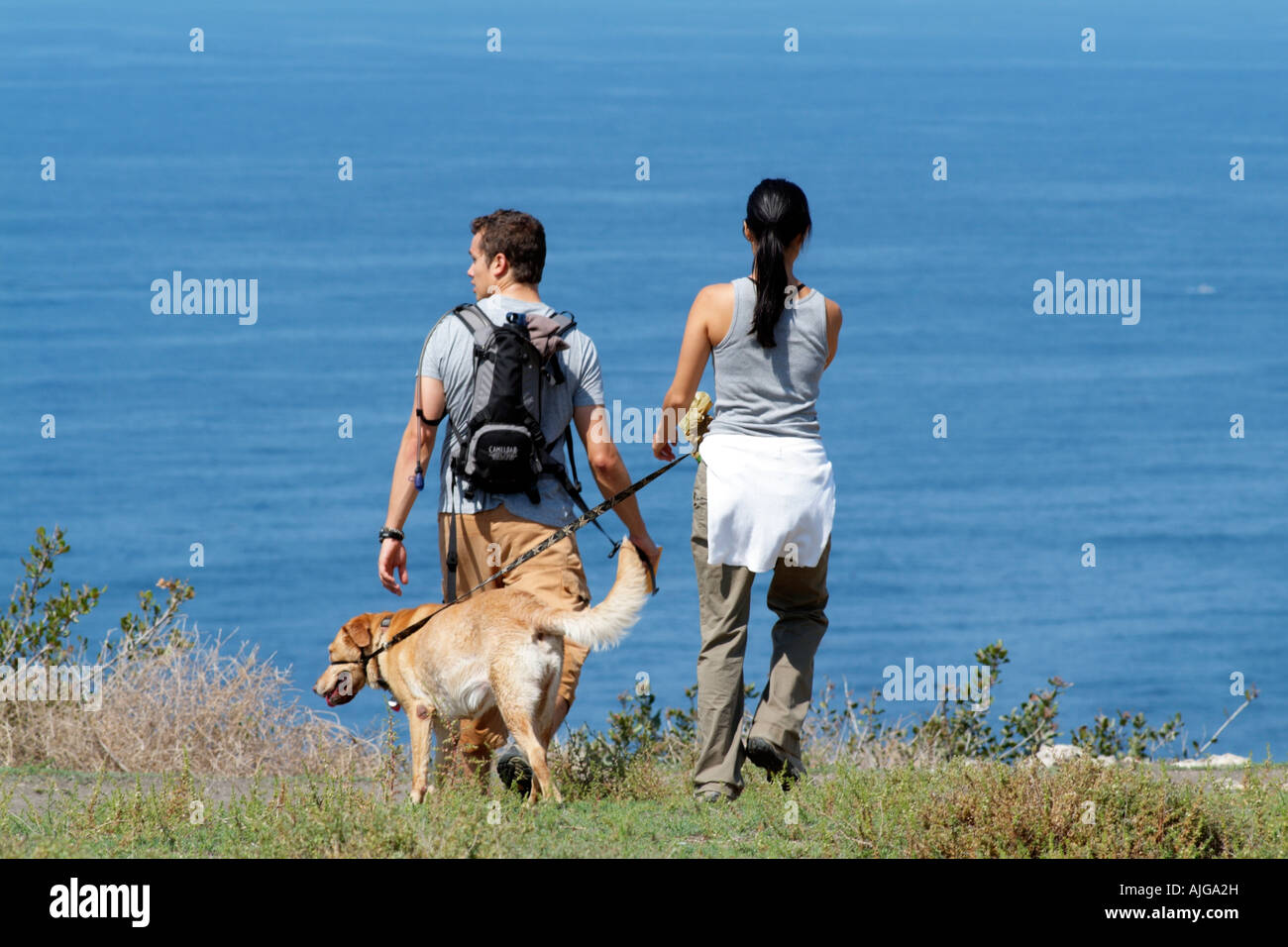 Junges Paar Hundewiesen auf Klippe Küstenpfad Zeitpunkt hierfür in Südkalifornien Amerika USA Stockfoto