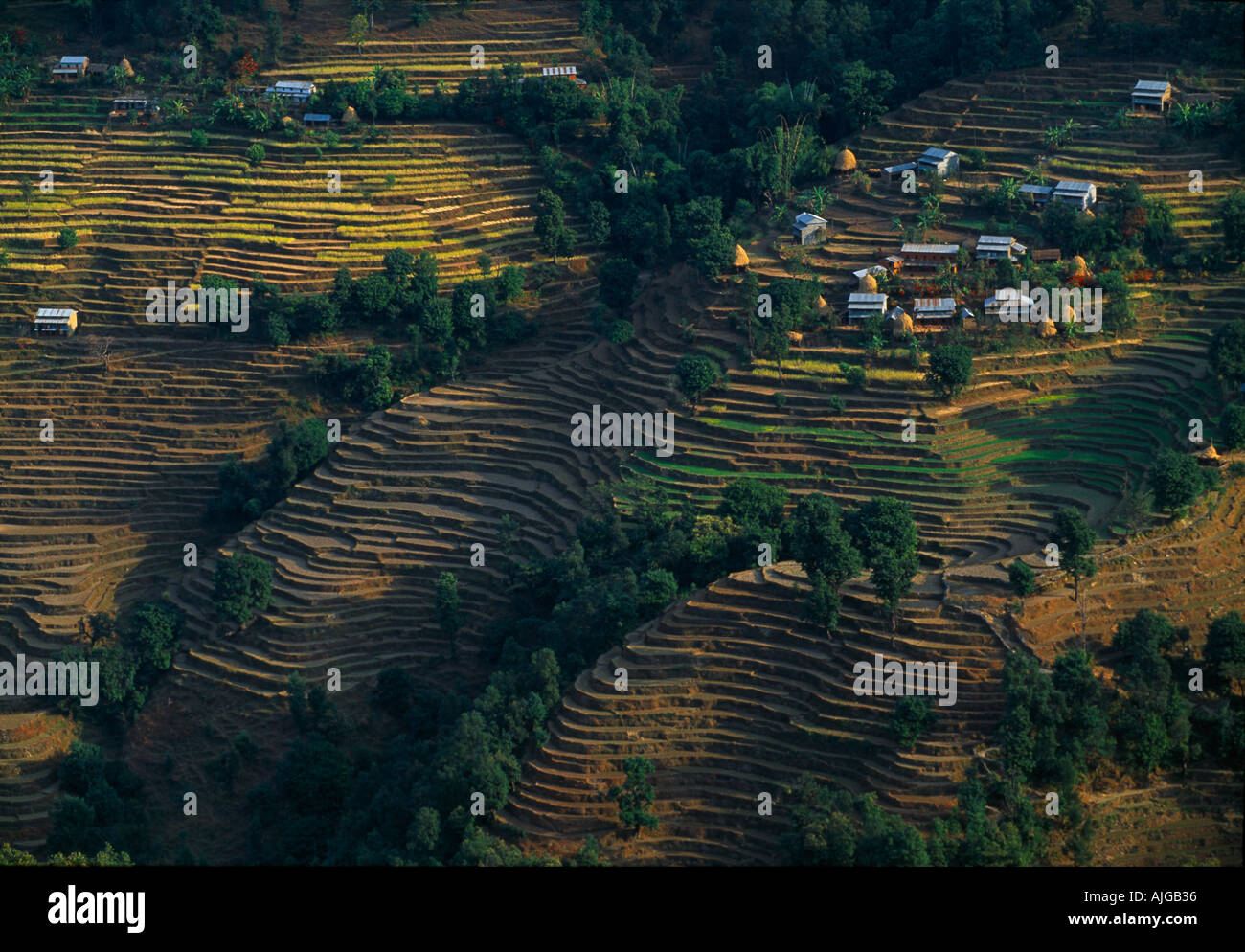 Terrassenfelder in Kalikastan nr Pokhara, Nepal Stockfoto