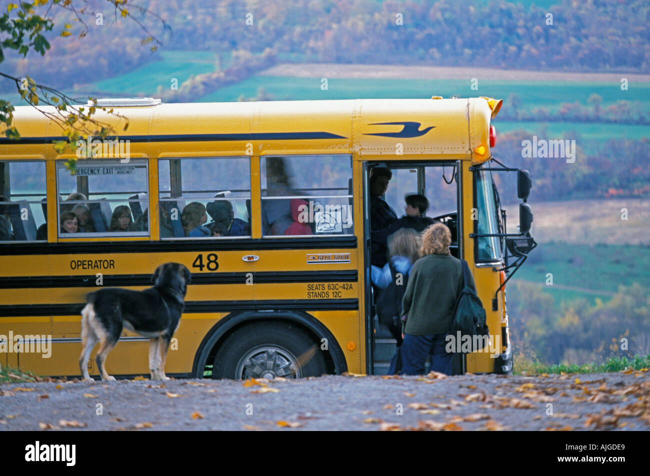 Der Hund der Familie beobachtet eine Gruppe von Kindern auf eine Schule in einem ländlichen Gebiet Stockfoto