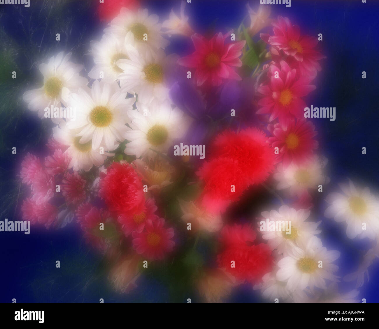 BLUMENKUNST: Blumenarrangement Stockfoto