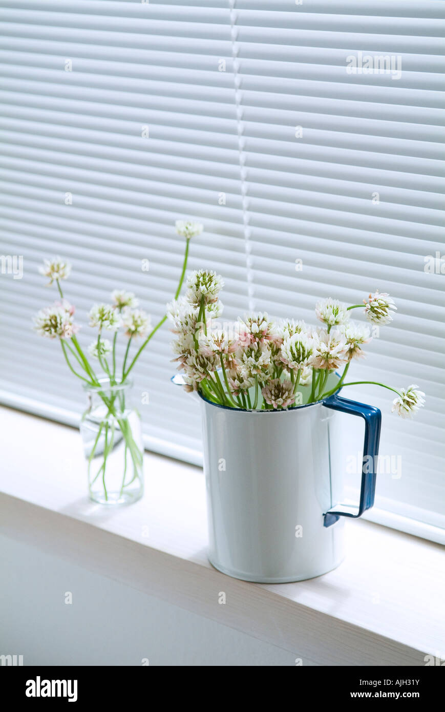 Fenster mit blumenvase -Fotos und -Bildmaterial in hoher Auflösung – Alamy