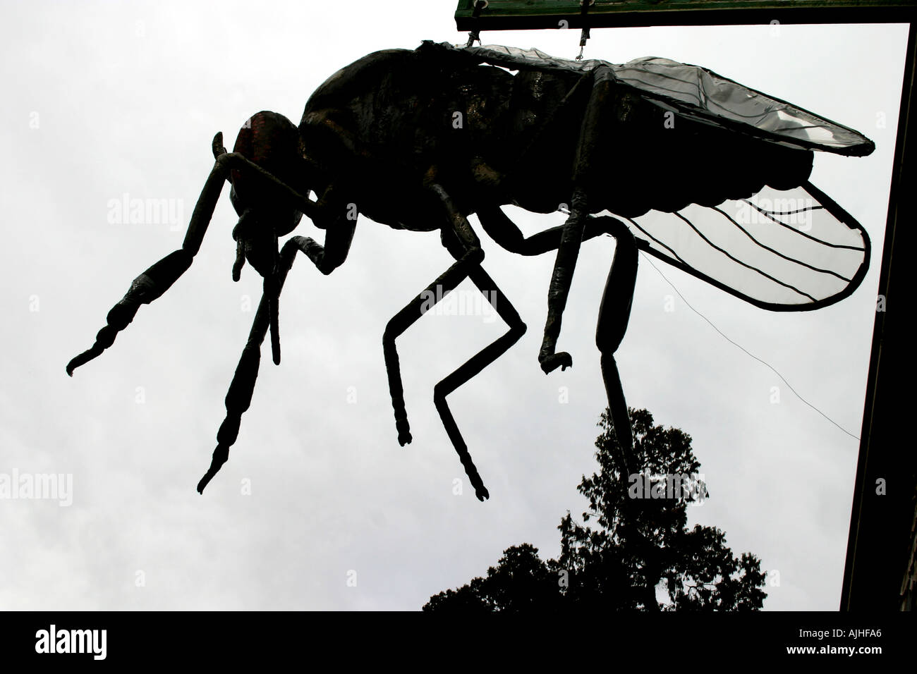 Einem riesigen künstlichen Mann gemacht Sandfly bei einem Street Cafe gegen den Himmel Südinsel Neuseeland Stockfoto