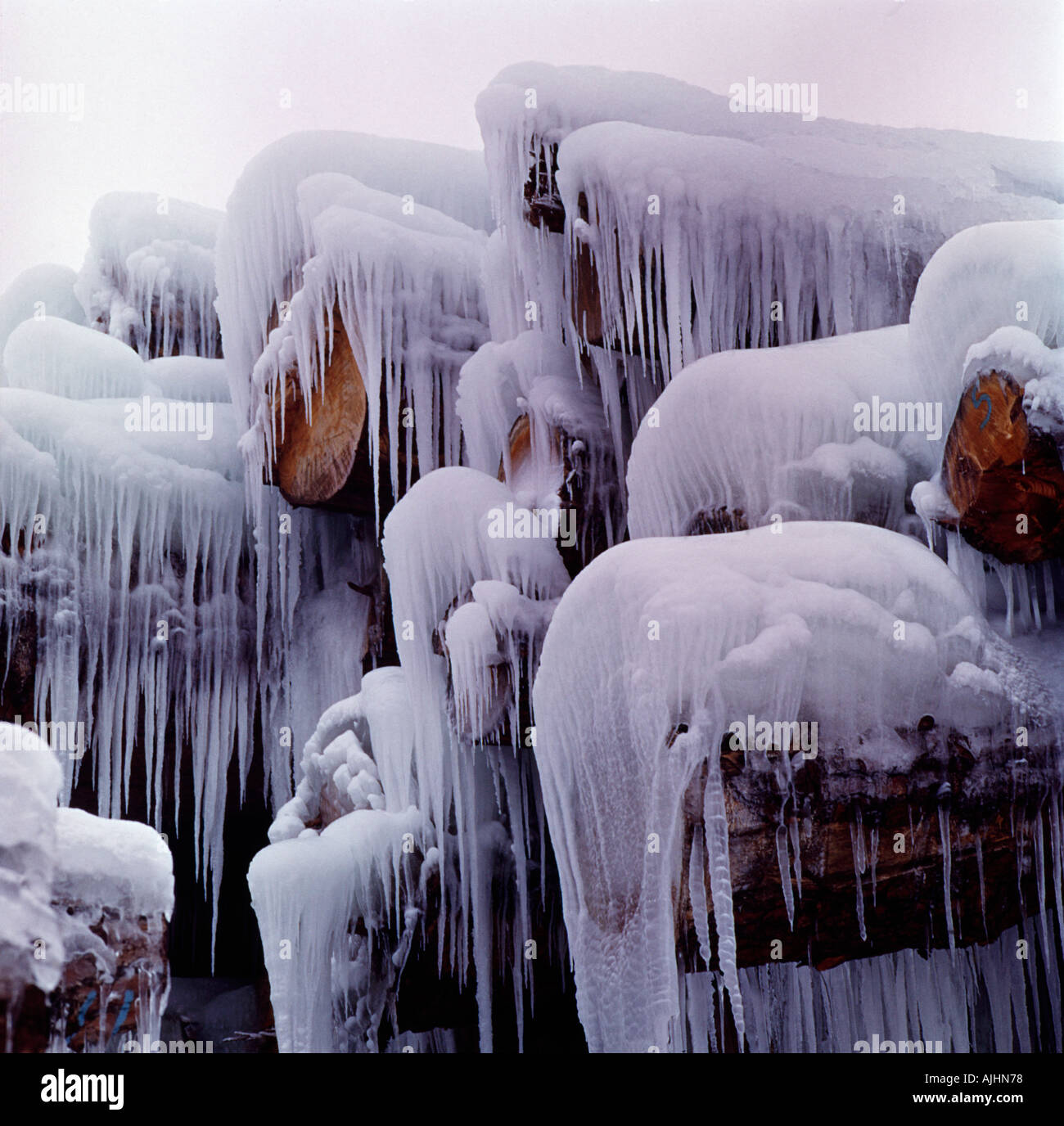 Einfrierende Icycles Klammern sich an einen Log-Deck bei kühlem Wetter an einer Sägemühle Stockfoto