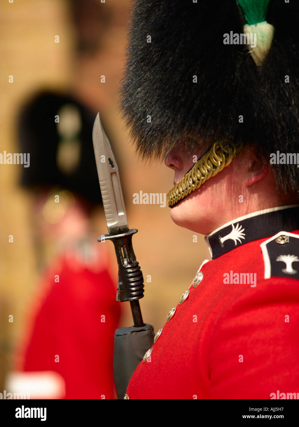 Walisischen Garde, St. James Palace Stockfoto