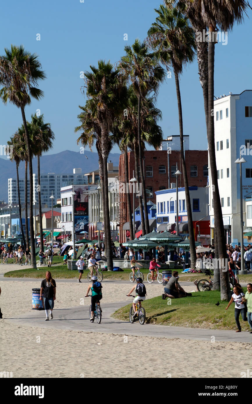 Venice Beach am Pazifischen Ozean California Amerika USA Palmen und Sand an der Küste Stockfoto