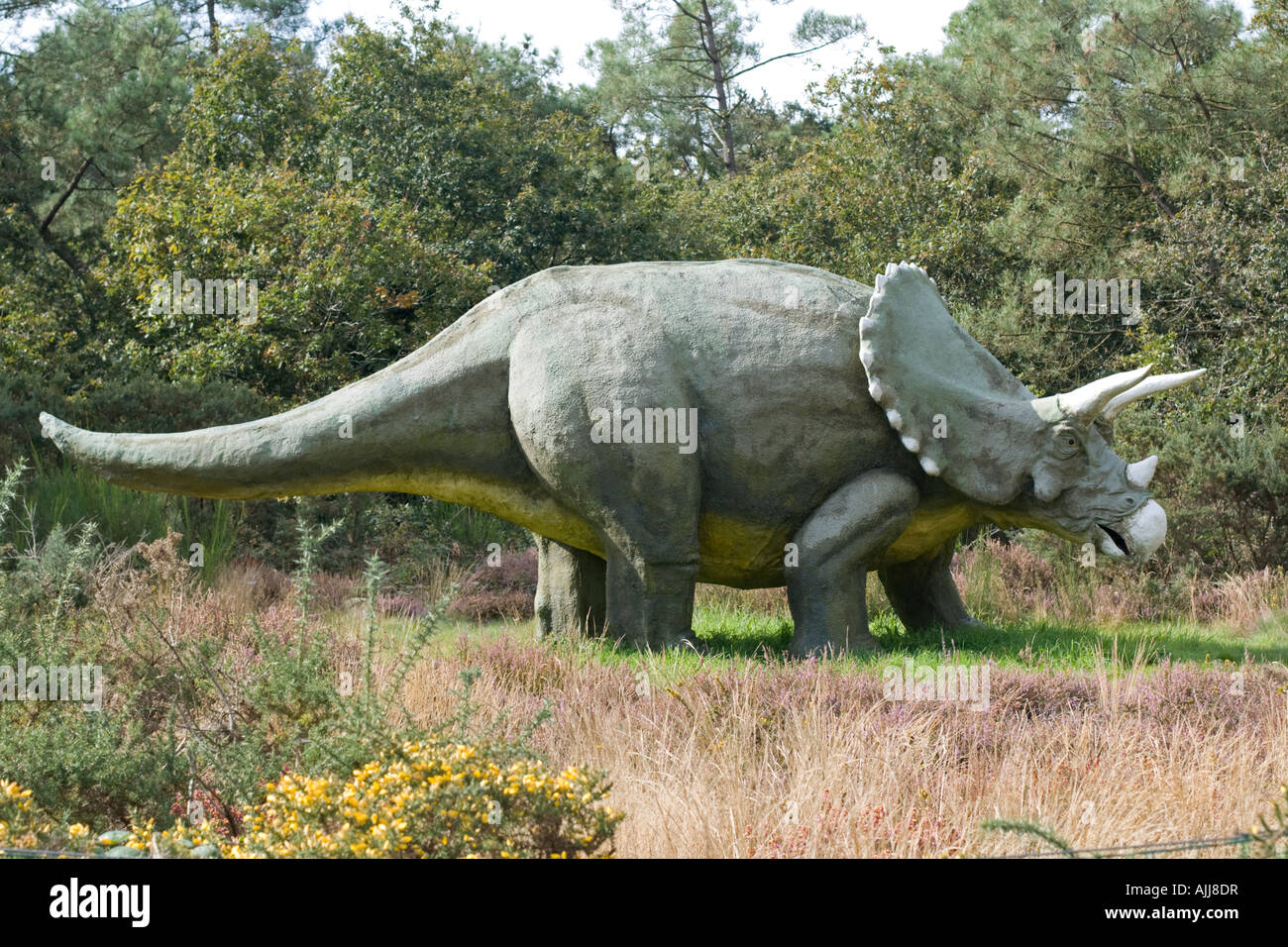 Rekonstruktion von Triceratops einer ausgestorbenen pflanzenfressenden Ceratopsid Dinosaurier der späten Kreidezeit Periode Dinosaur Park France Stockfoto