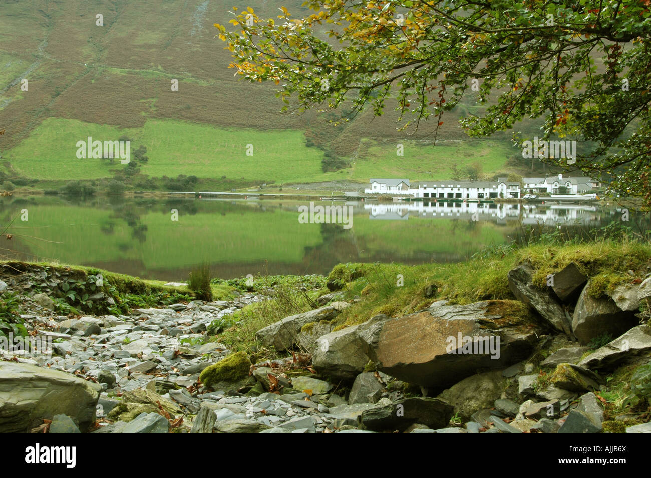 Herbst Bild Tal y Llyn See zeigen die Tyn y Cornel Hotel eingebettet in den Ausläufern des Berges Stockfoto