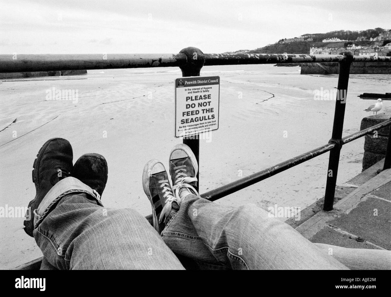 Melde nicht füttern der Möwen am Ufer des St. Ives Hafen. Füße auf Geländer Cornwall England UK Stockfoto