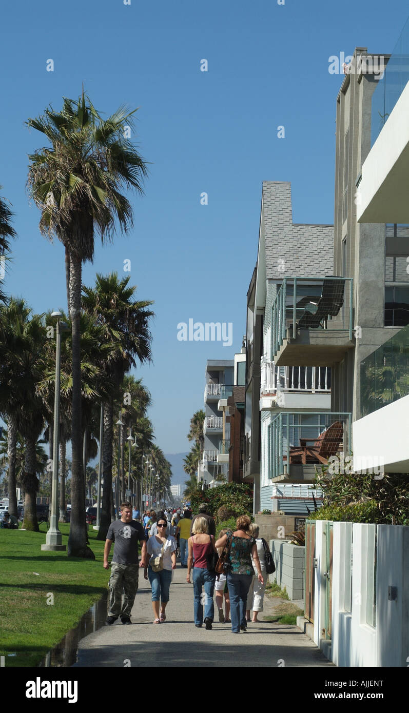 Venice Beach am Pazifischen Ozean California Amerika USA Palmen und Unterkunft an der Küste Stockfoto