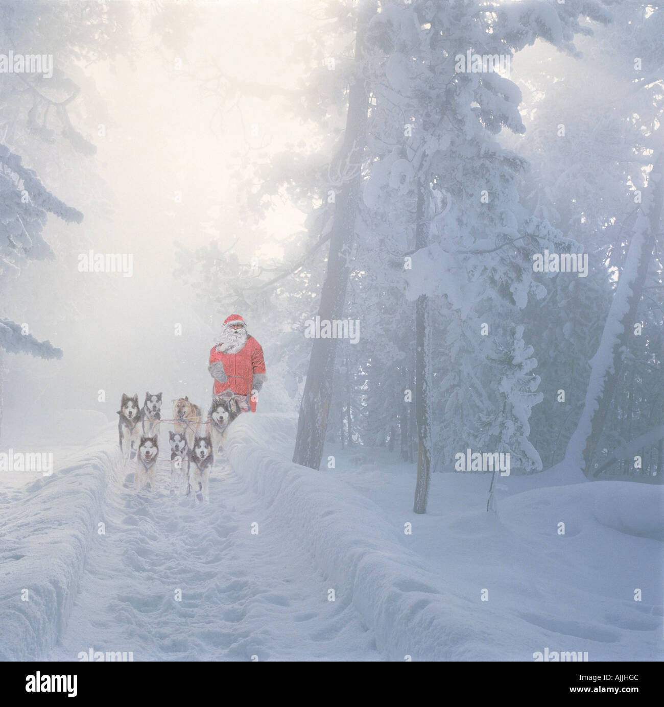Santa Claus Mushing Hund Team Winter Digital Composite Alaska Stockfoto