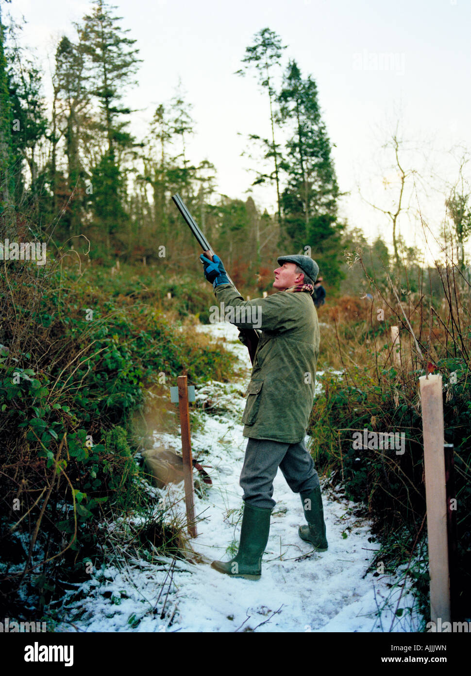 Eine Shooter auf einem angetriebenen Fasan schießen bereit, in einem Wald Stand an einem frostigen Morgen in Irland Stockfoto