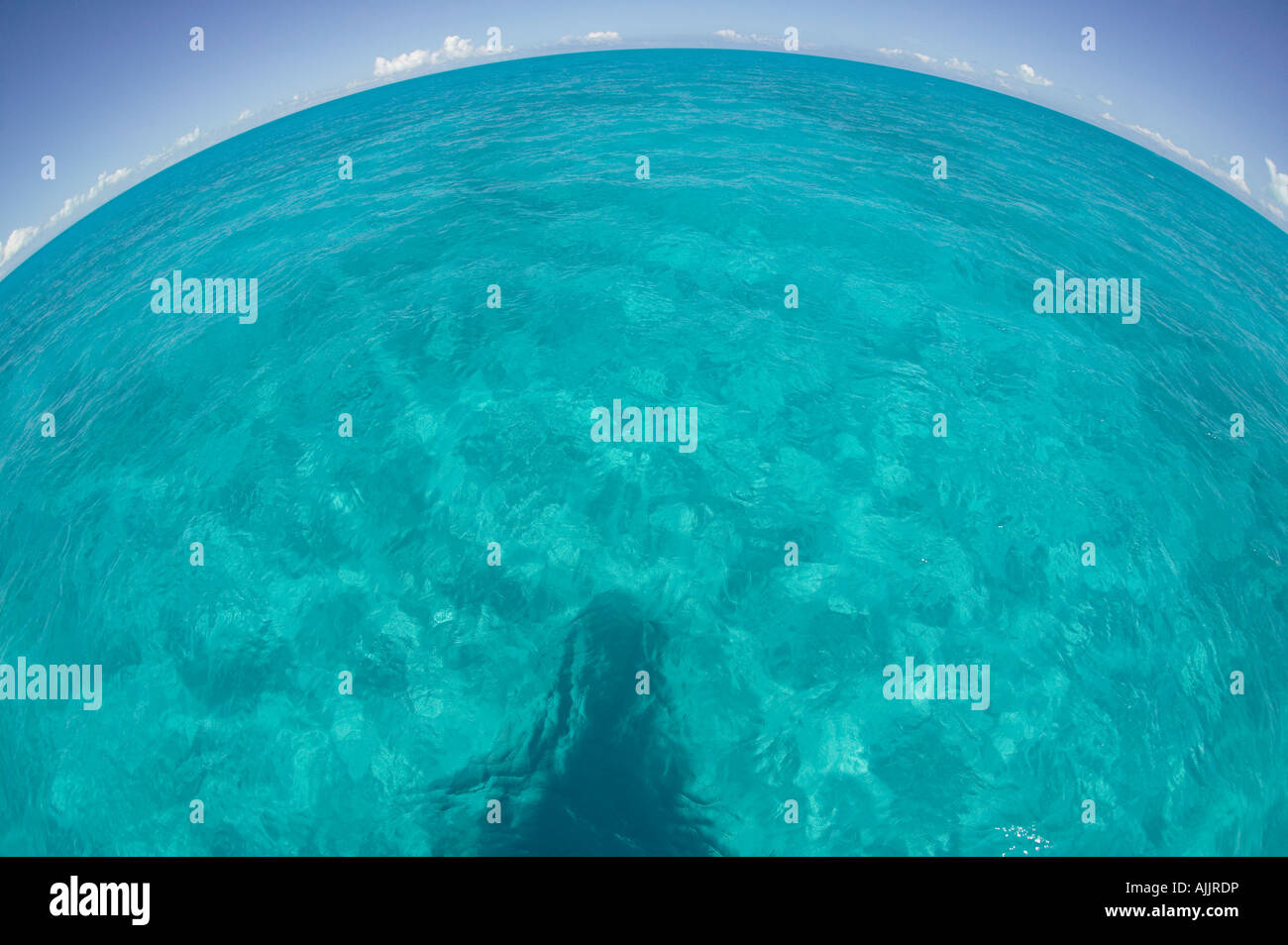 Boot überqueren der Caicos Bank, Bahamas-Insel bei Tageslicht; gekrümmte Horizont Stockfoto