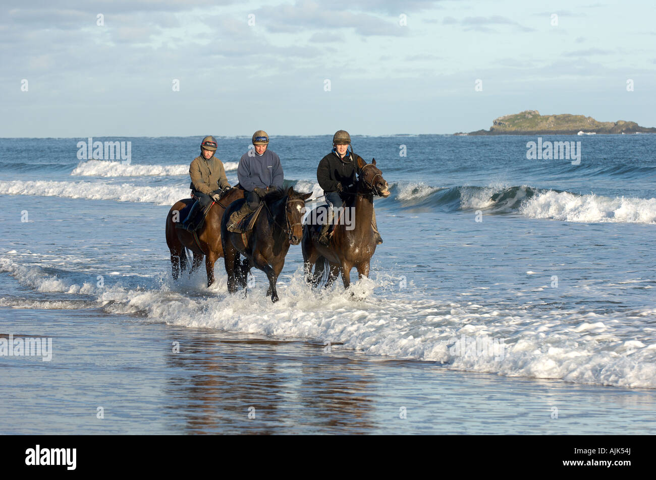 Rennpferde auf Whiterocks Beach County Antrim Nordirland ausgeübt wird Stockfoto