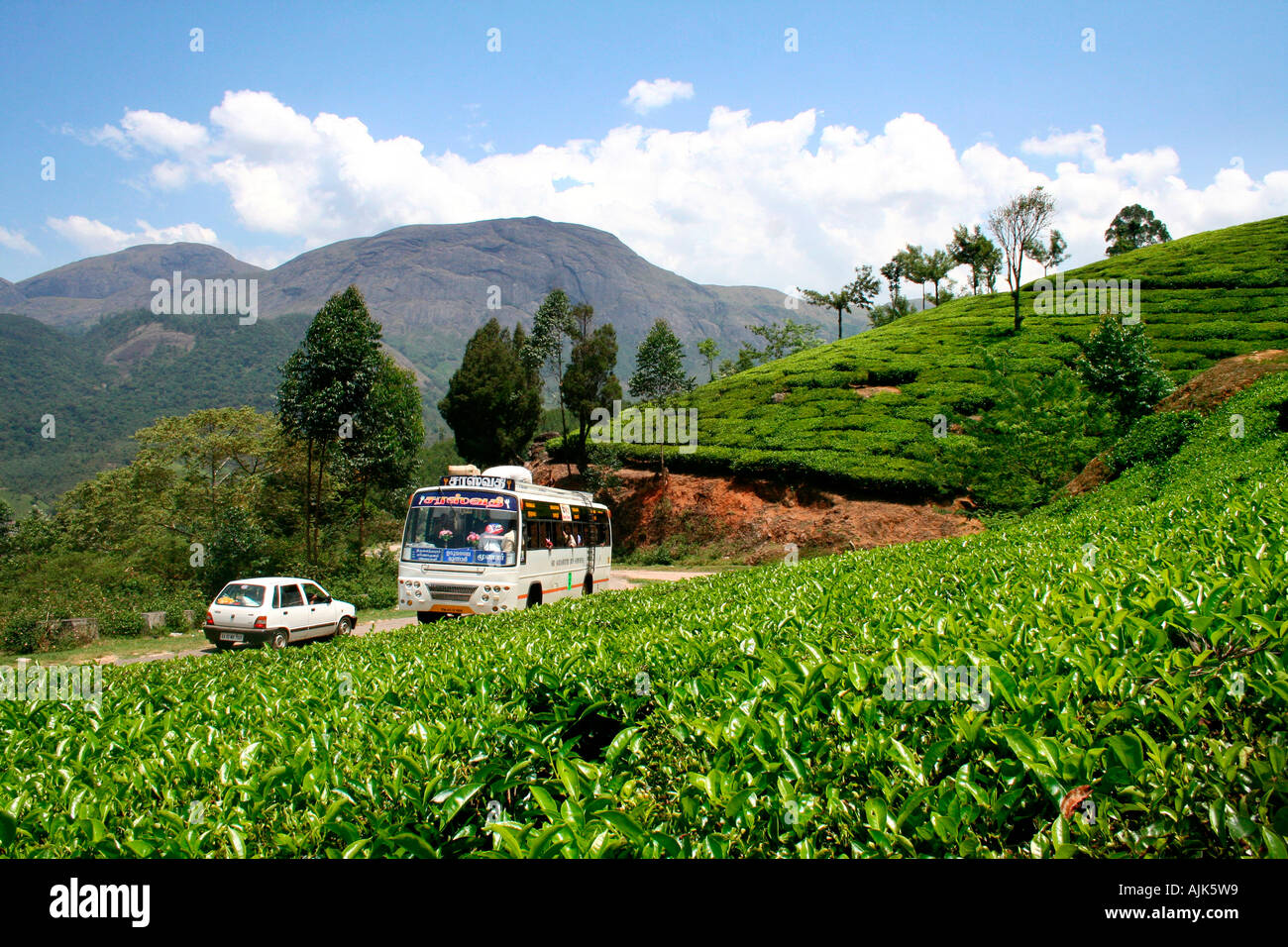 Touristenfahrzeuge erreichen und verlassen die schönen Hügel-Station in Munnar, Kerala Stockfoto