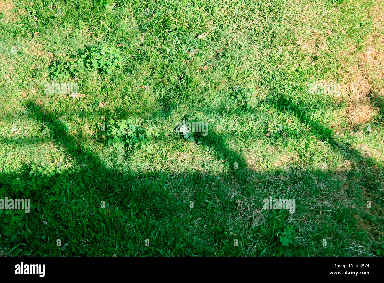 Der Schatten eines Zauns, werfen auf dem Boden, Kerala, Indien Stockfoto