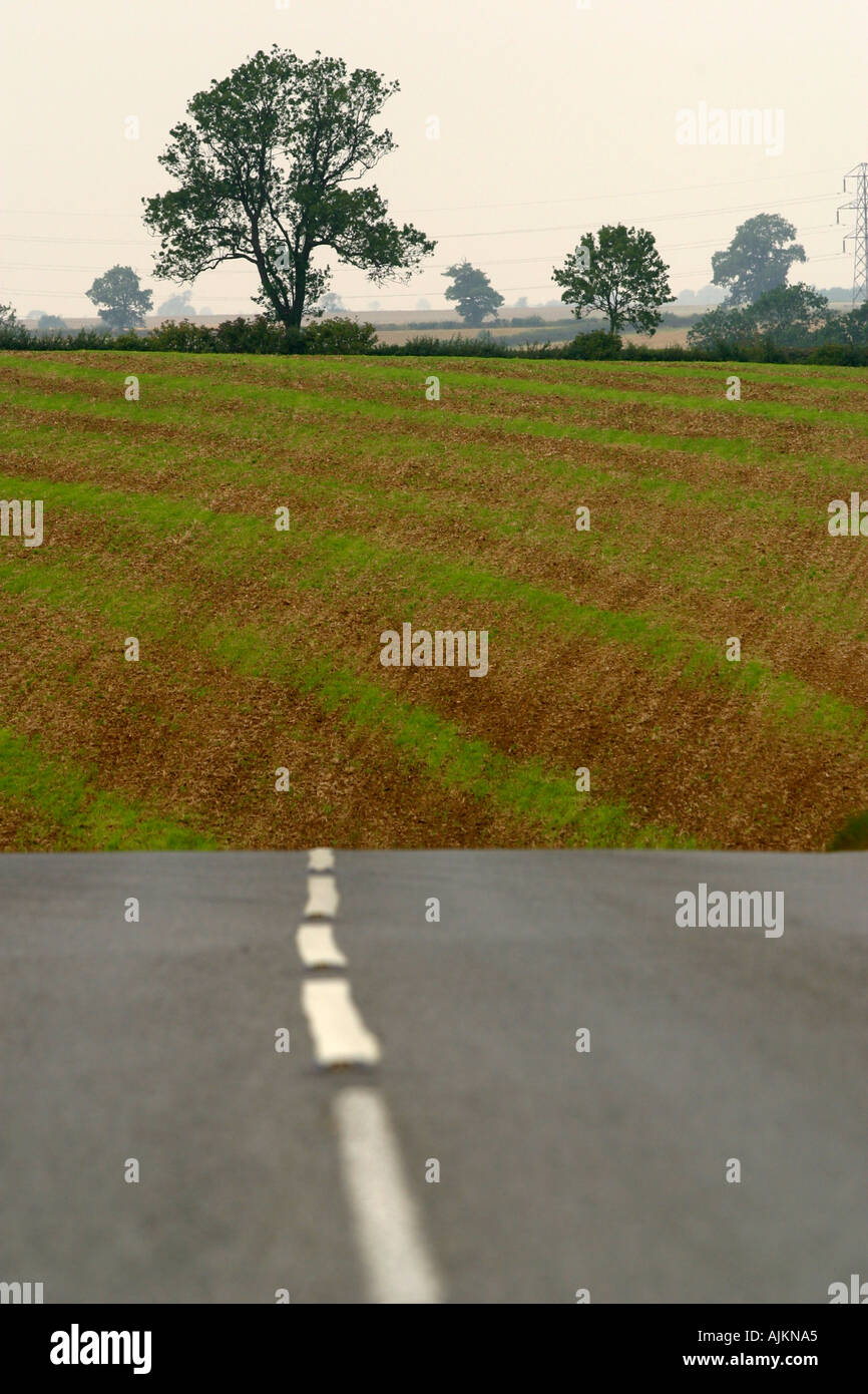 Straße und Felder in lincolnshire Stockfoto