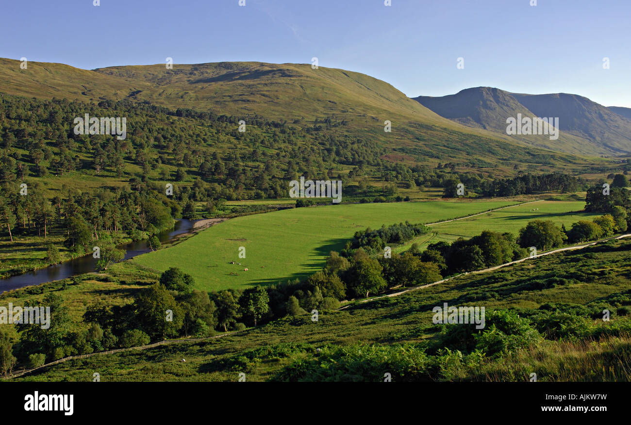 Hügel, Wald und Weide im Spätsommer in oberen Glen Lyon West Perthshire Schottland, Vereinigtes Königreich Stockfoto
