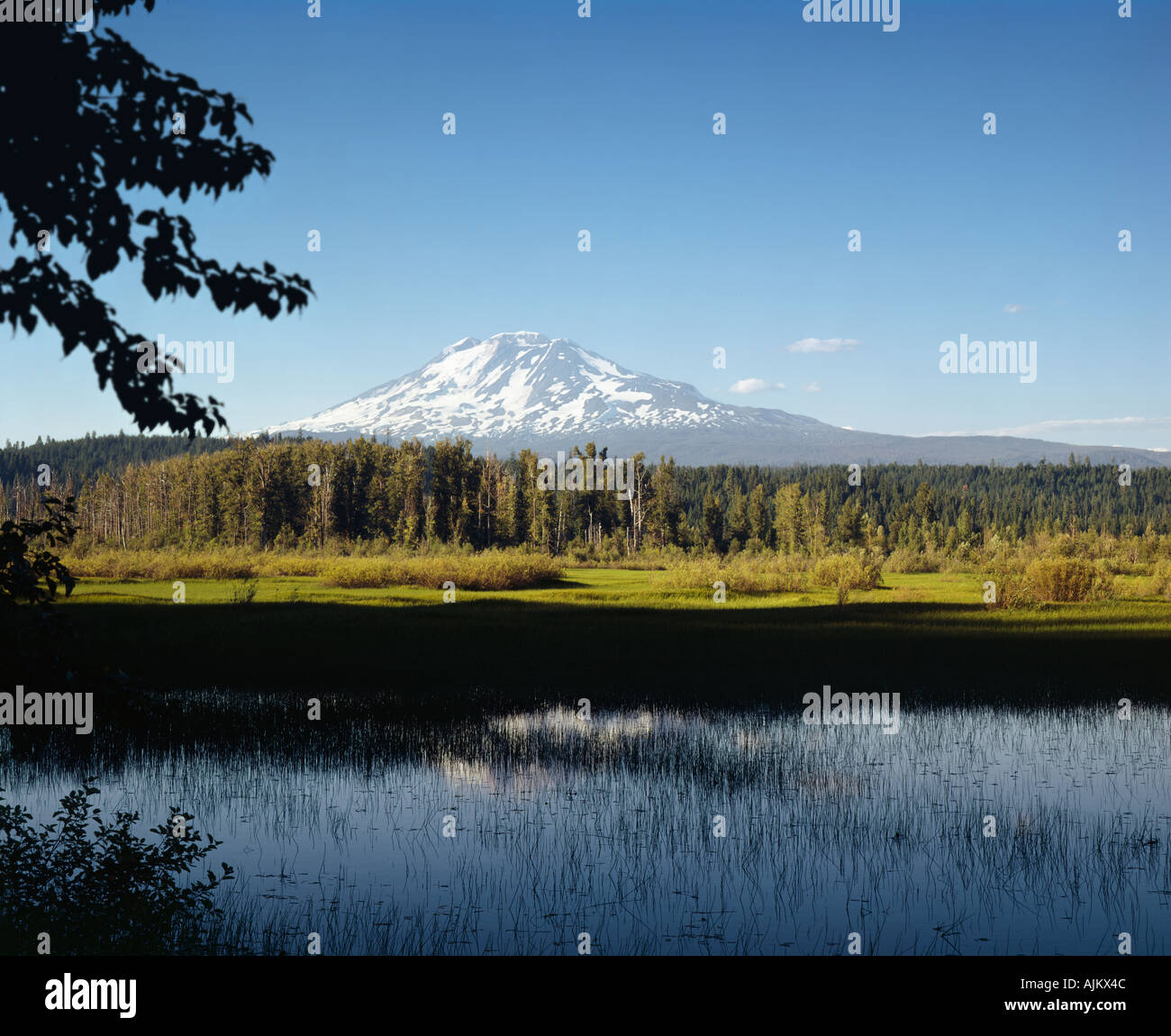 Mount Rainier in Mt Rainier National Park Washington State USA Stockfoto