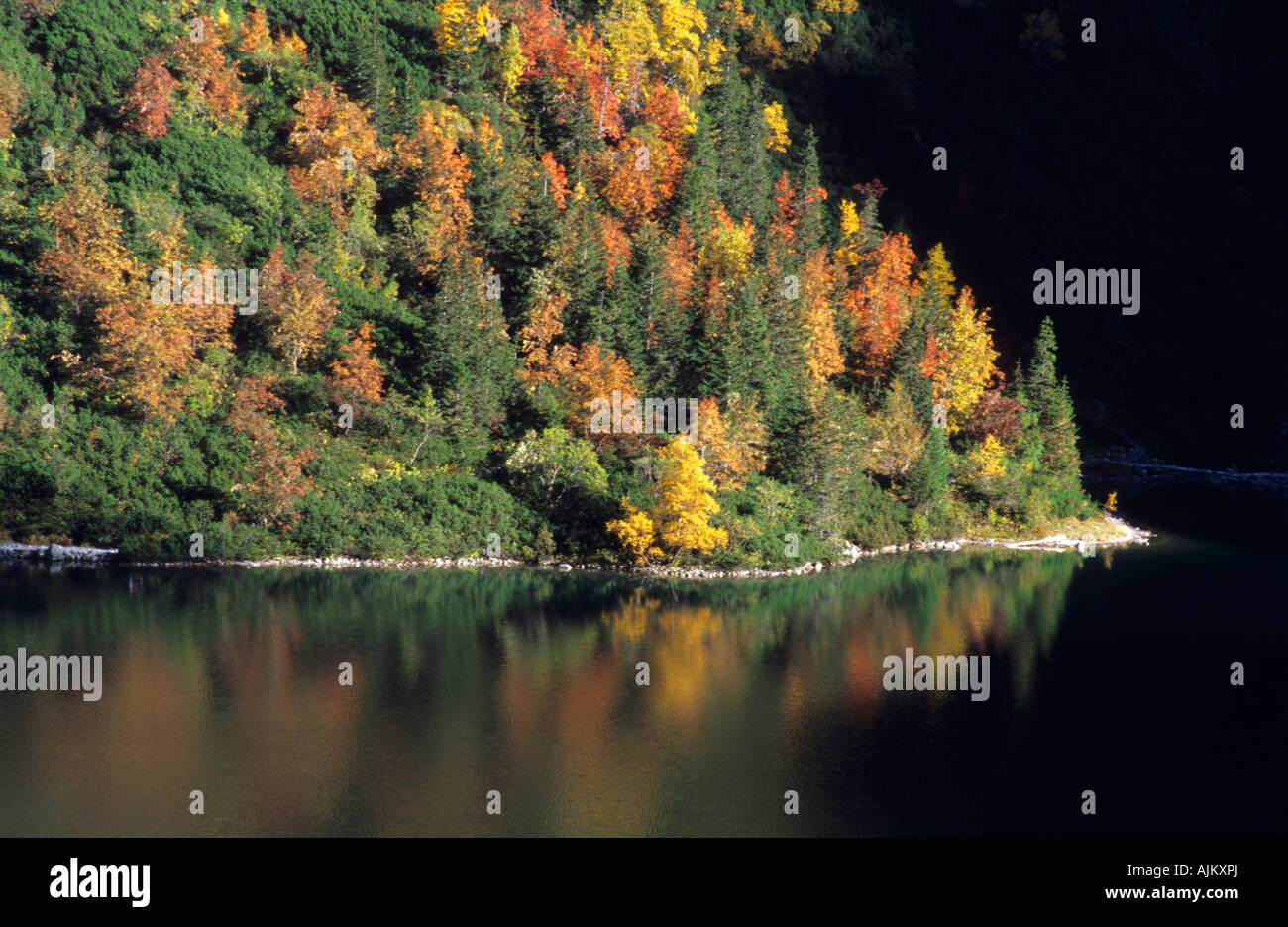 Tatra im Herbst Stockfoto
