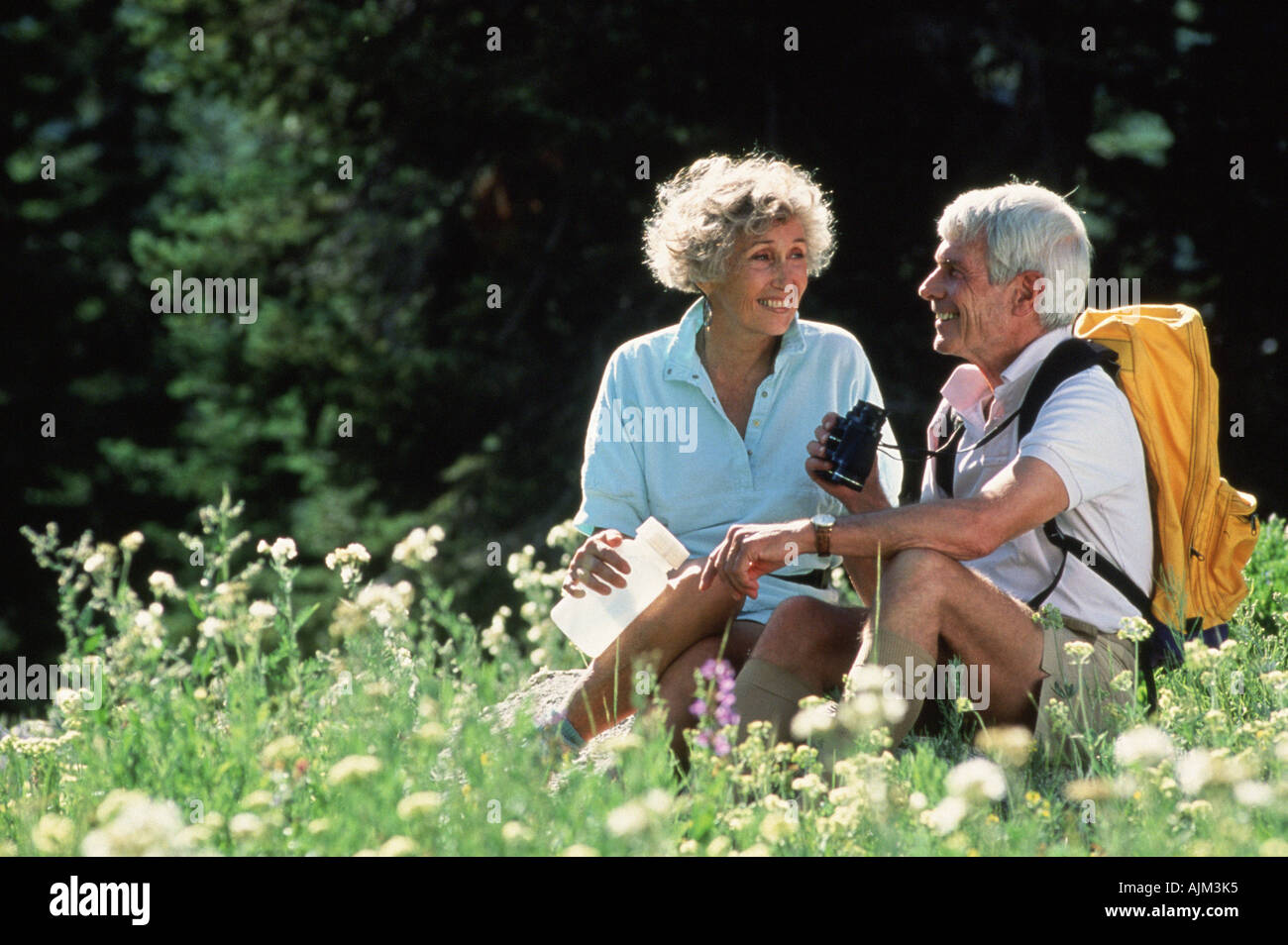 Juli Wildblumen in Albion-Becken in Little Cottonwood Canyon in den Wasatch Mountains von Utah Stockfoto