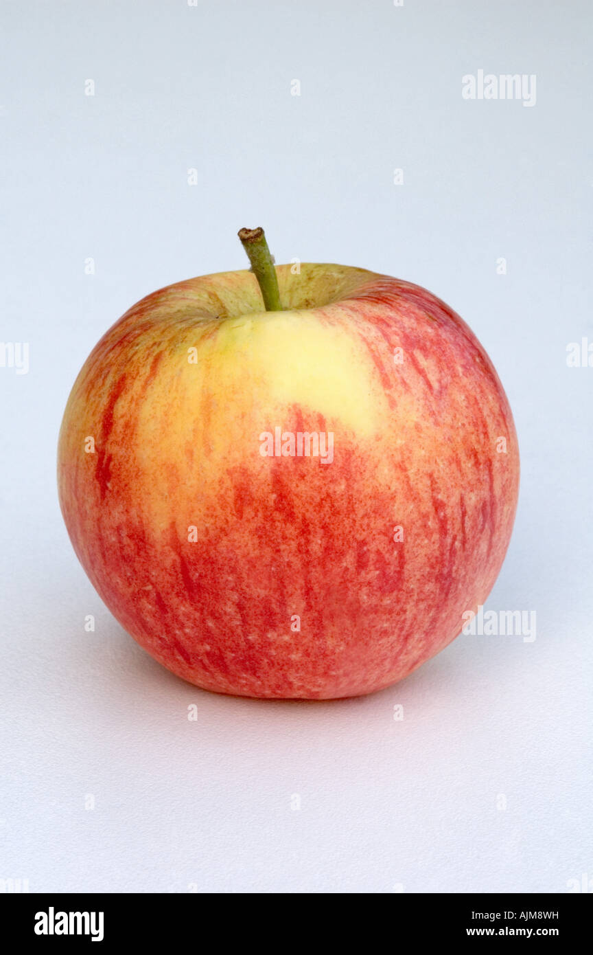 Einzelne Suffolk Pink Apple auf weißem Hintergrund Stockfoto