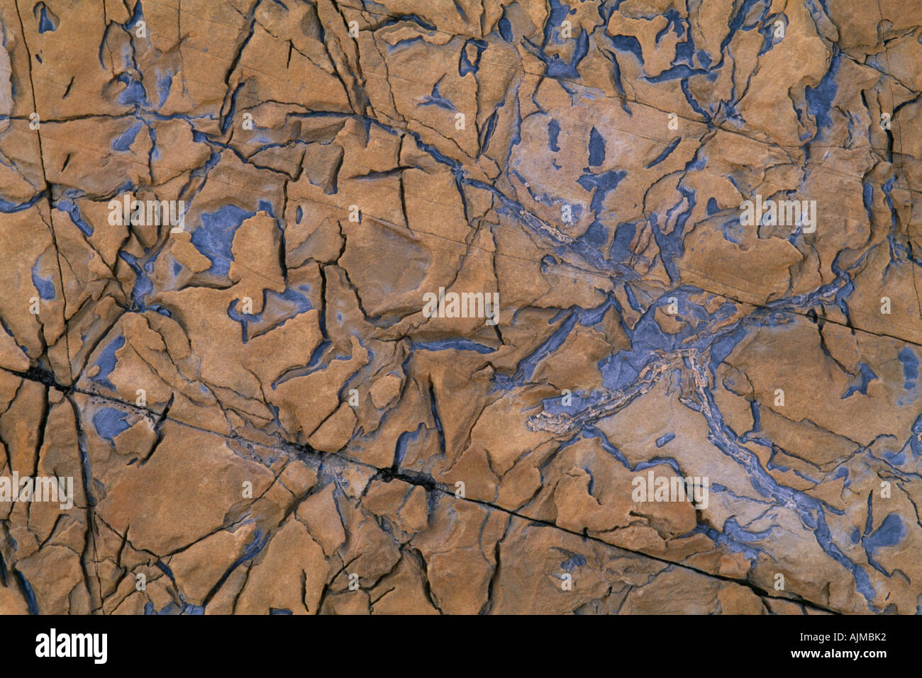 Zusammenfassung von Rock am Siyeh-Pass, die aussieht wie eine Relief-Karte mit Textur und Linien Gletscher Nat l Park MT Stockfoto