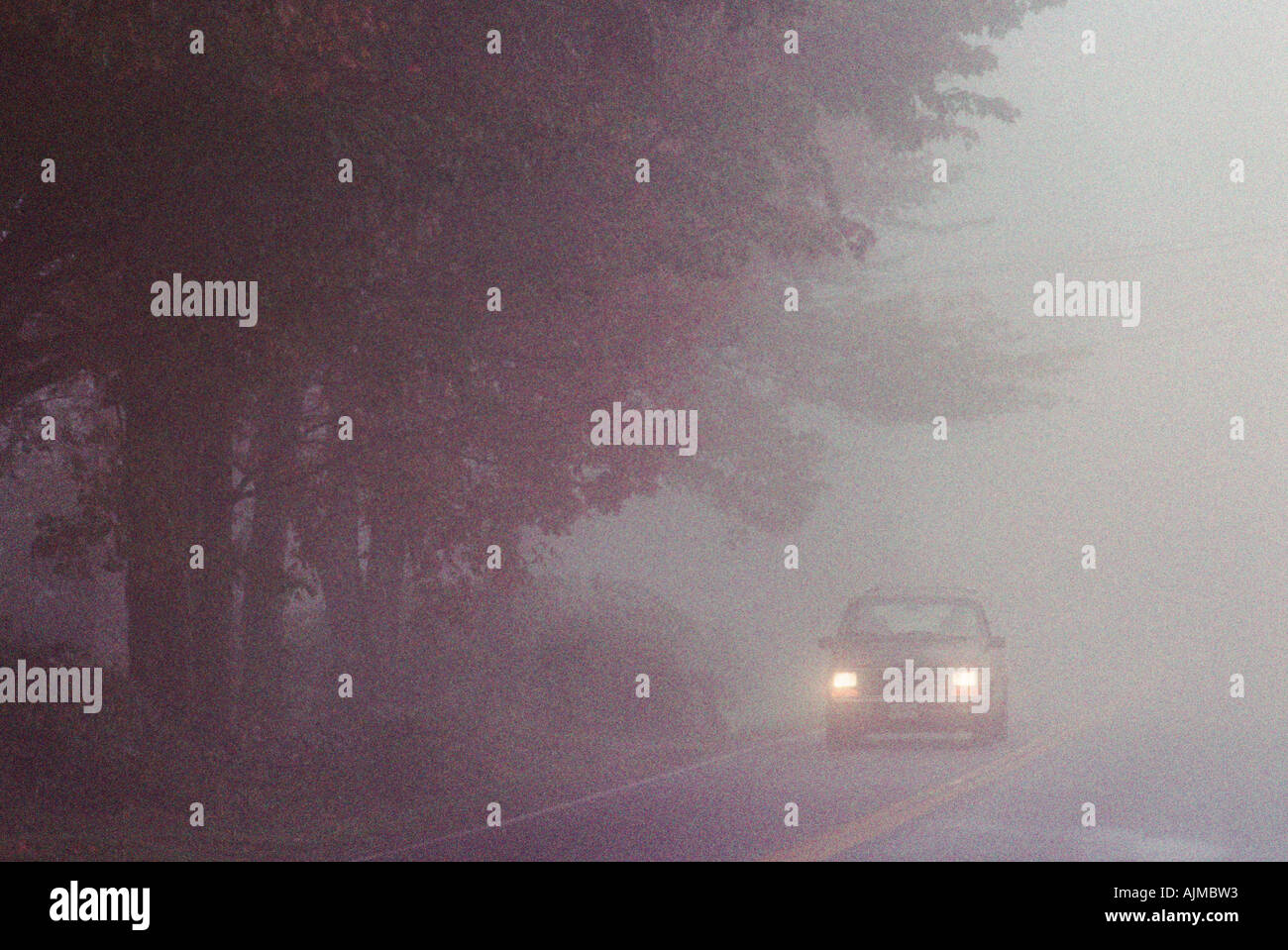 Auto fahren durch denken Nebel Maine Stockfoto