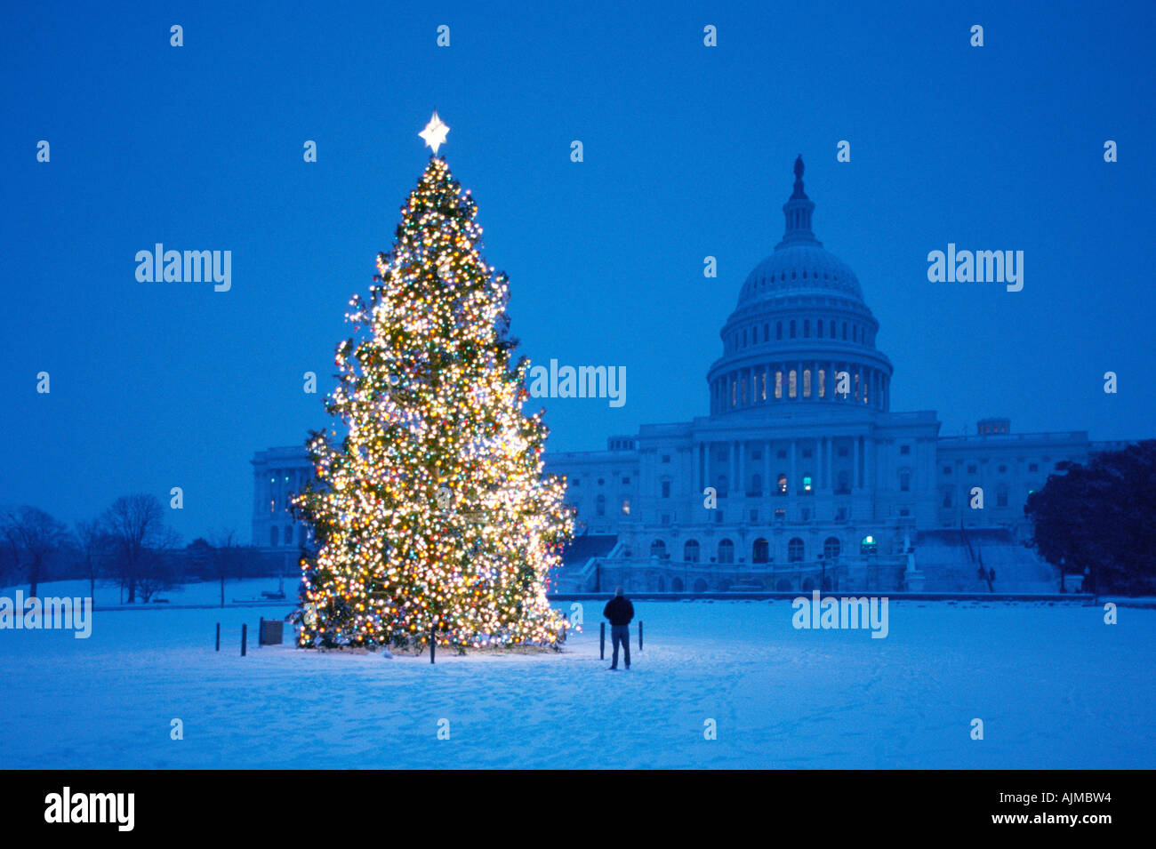Verschneite Szene der Weihnachtsbaum vor dem Captiol Gebäude Washington DC Stockfoto