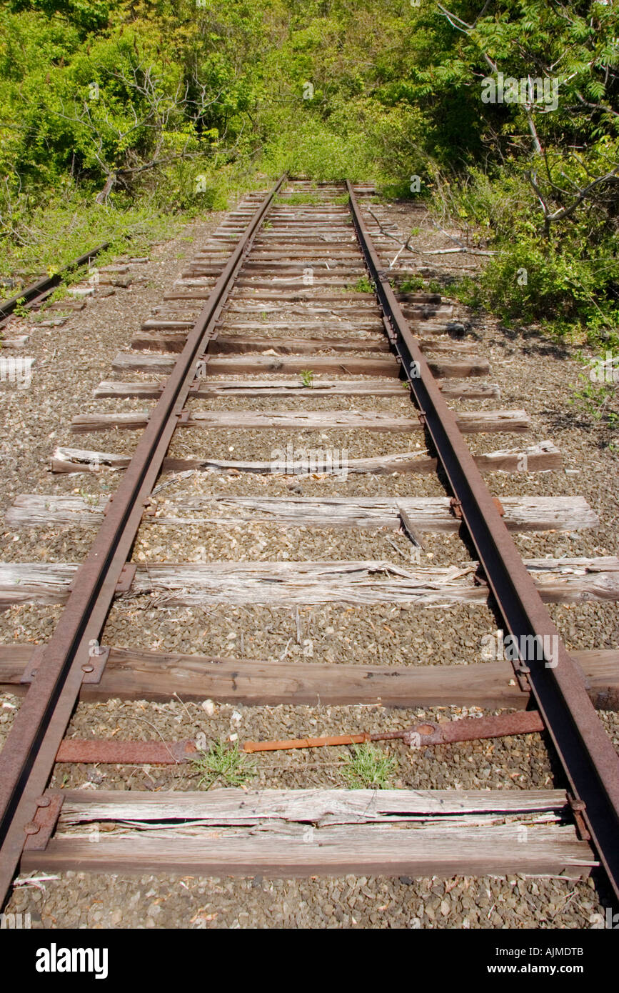 Railroad Tracks und Wald Port Deposit-Maryland Stockfoto