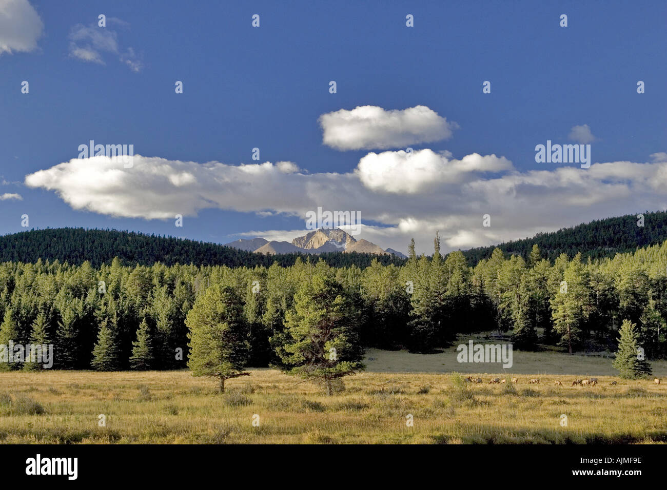Longs Peak von Fall River Wohnungen Estes Park Rocky Mountain Nationalpark-Colorado Stockfoto