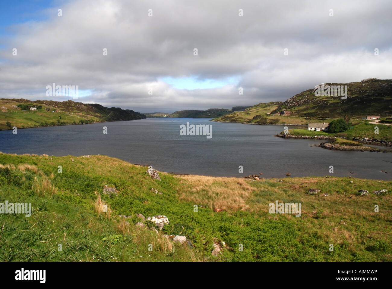Feuchtgebiet und Schafe Bauernhöfe nördlich Laxford Bridge NW Küste Hochland Schottland Stockfoto
