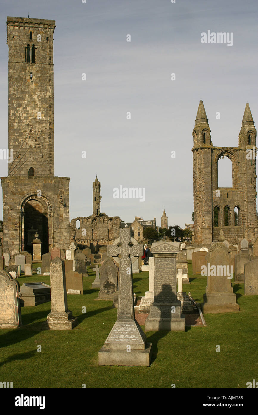 Schottland St. Andrews Cathedral Stockfoto