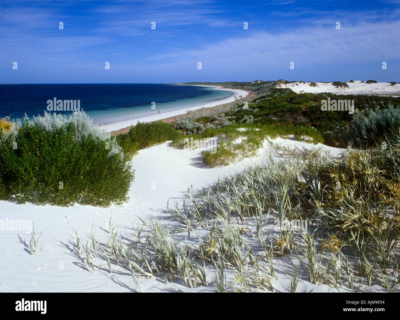 Strand (Fialen) Nambung Nationalpark, Western Australia, Australia Stockfoto