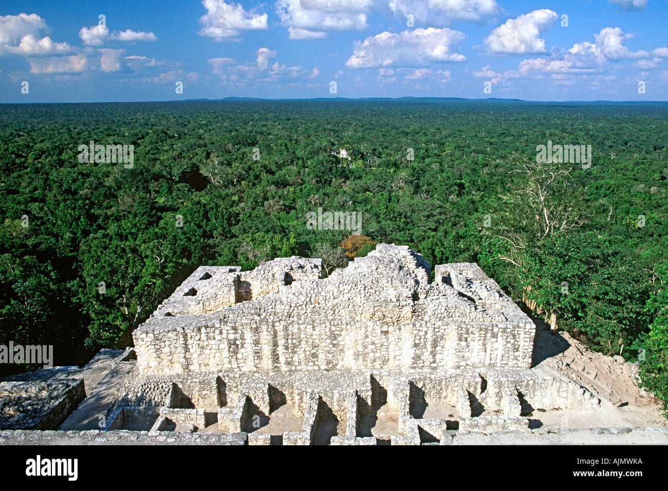 Blick über die Tierras Bajas Regenwald vom oberen Rand der Calakmul Maya Ruinen in Campeche Staat im Süden Mexikos. Stockfoto
