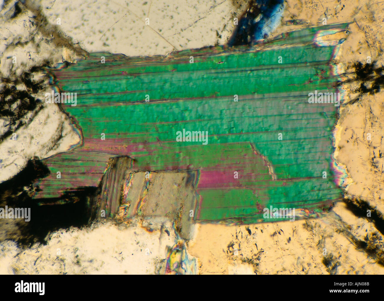 Muskovit Abschnitt Mikrophotographie Kreuz polarisiertes Licht Mag ca. X150 Stockfoto